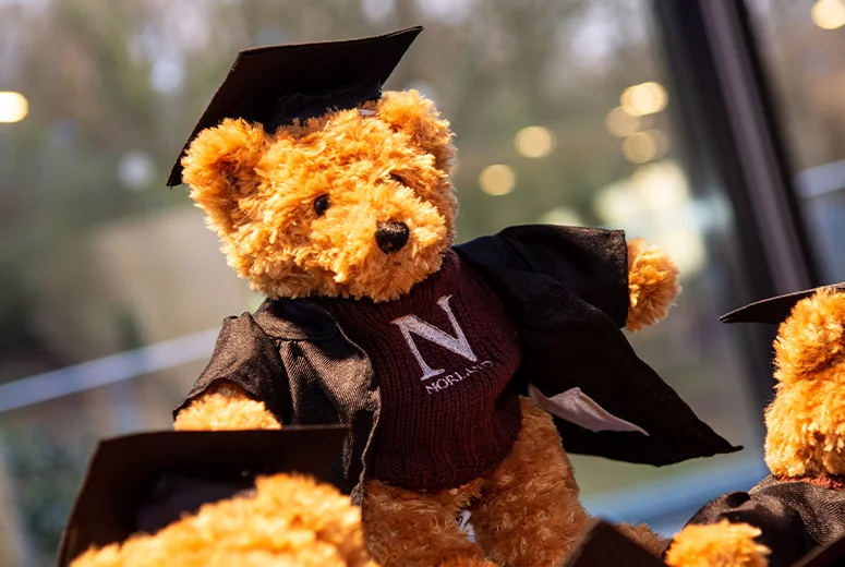 Norland teddy bear in graduation gown and mortarboard