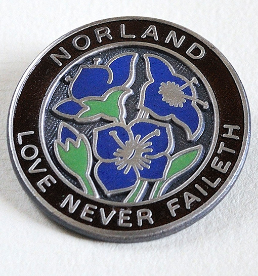 norland diploma badge