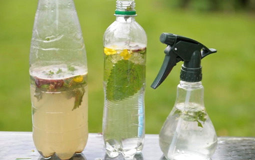 bottles with water and leaves in