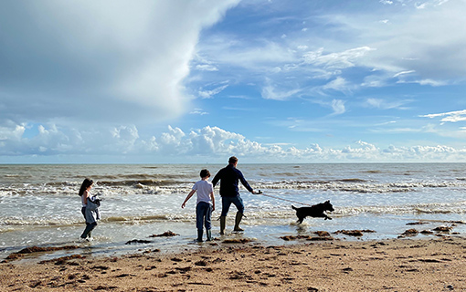 a family and dog playing on the beach