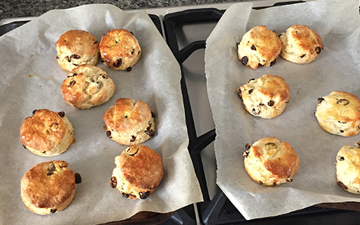 two trays of scones