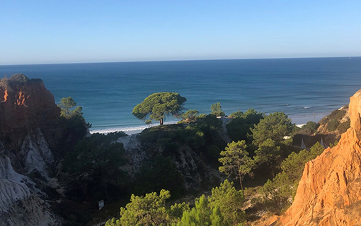 a photo taken by an NQN student of the sea