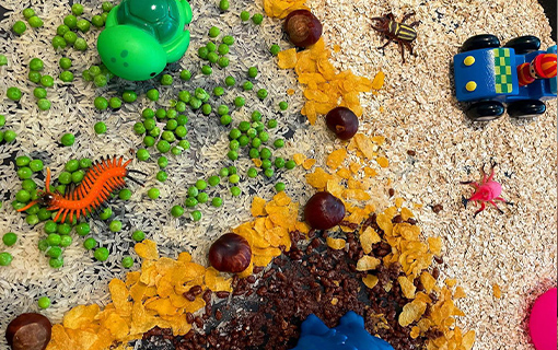 a tuff spot children's activity with conker and other nature items