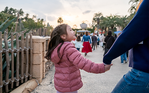 Child with nanny holding hands in theme park